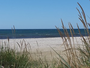 Hagestad stranden